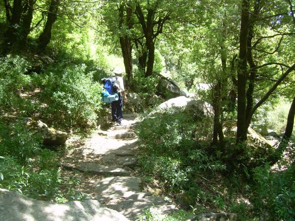 Trail to kareri village through lush green forests